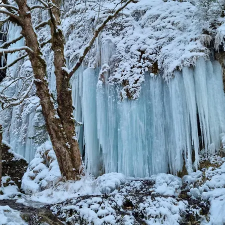 Oachkatzl * Wildsteig