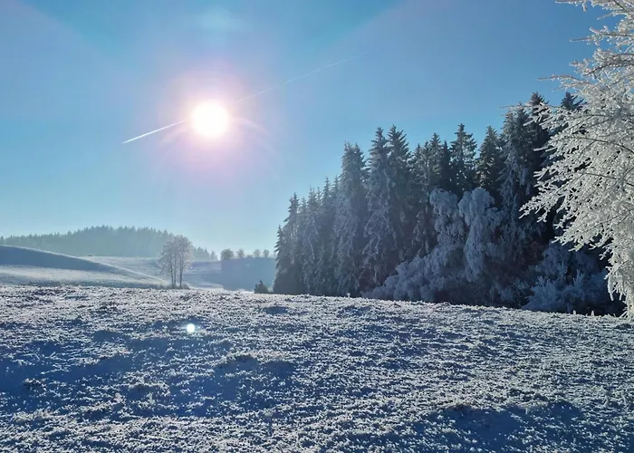 Daire Oachkatzl Wildsteig